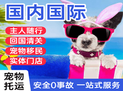 邵阳武冈机场托运国际宠物托运 【国